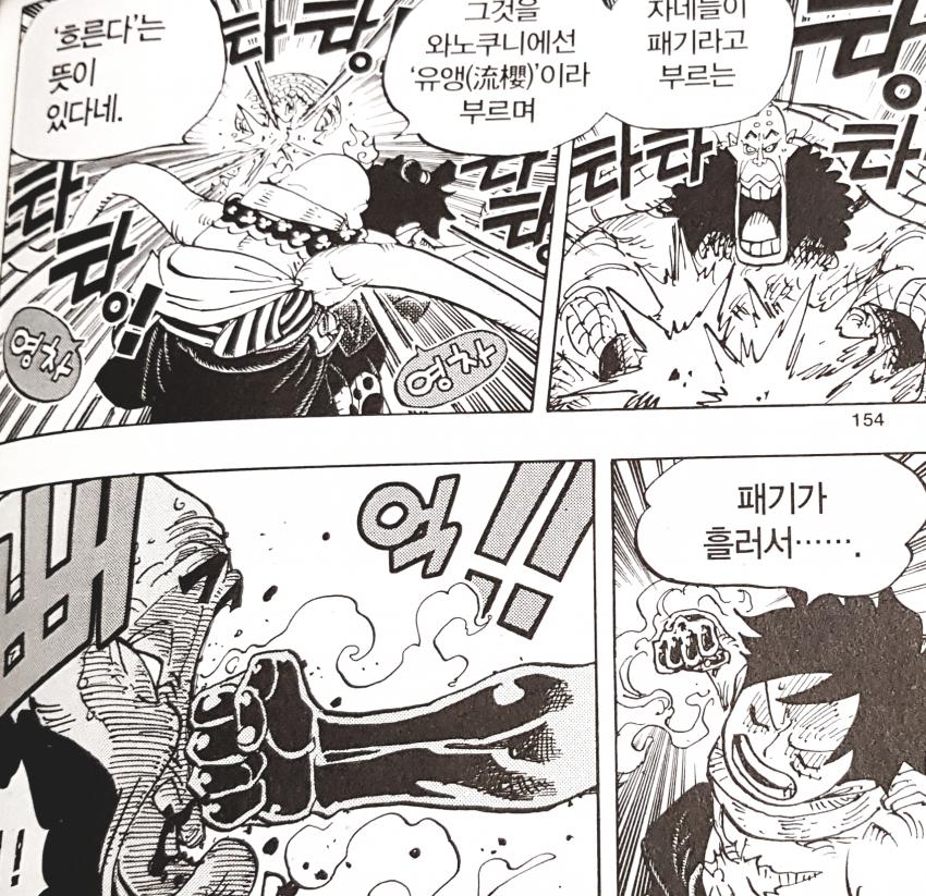 원피스에서 공식보다 많이 퍼진 용어